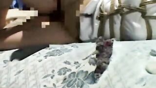 Bound asian whore slammed with hard cock