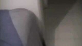 Charming latina cutie sucking cock