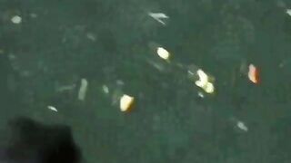 Amateur twinks first blow job at campus