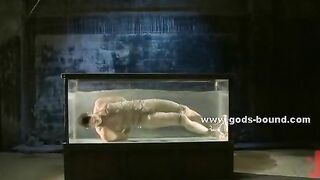 Boy gets on the filthy hands of gay pervert who ties him in cuffs from huge fish tank