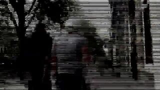 Lingerie hooker fucks