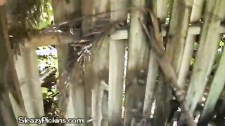 Doggystyling the Hitch Hiker