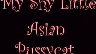 Dreamy Asian Hottie Jams Rod In Mouth & Pussy