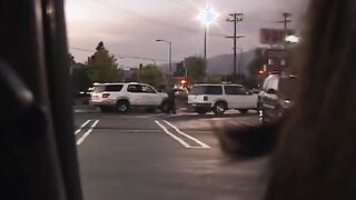 Beautiful Brunette Chick Loves Cocksucking & Sex