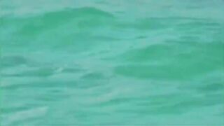 Bikini teen picked up on boat from surfing and sucks and fucked