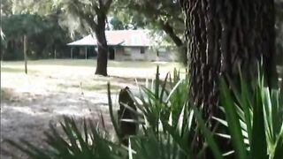 Chick secretly filmed while gardening but finds sex a better idea