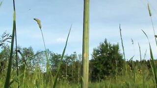 outdoor big toy in my tight anal