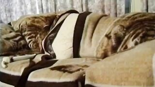 Amazing Blonde Wifey Loves Giving Head & Rough Sex