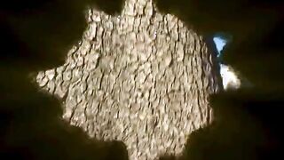 Aroused Brunette Bitch Takes In Two Throbbing Dicks