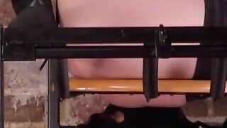 Domina queens her restrained gimp