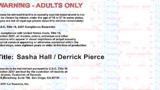 Brunette Chick Sasha Hall Fucked In The Face And Vagina