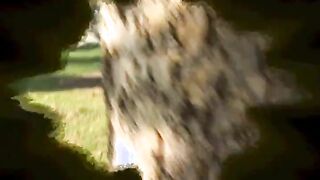 Brunette Girl Bailey Nailed By 2 Boners At The Same Time