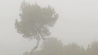 True beauty Silvie pose snatch