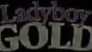 Ladyboy Stallion Creampie