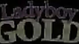 Fearless shemale jacks off his hung cock