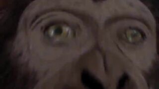 Gorgeous babe suck and screws meaty dick