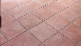 Incredible ebony gal sucks and fucked by huge black dick