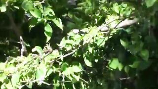 Big tits blonde MILF reamed hard by the peeping guy