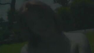 Alluring girlfriend fucked large package