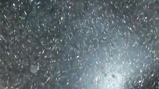 2 naughty girls pleasure 1 needy dick