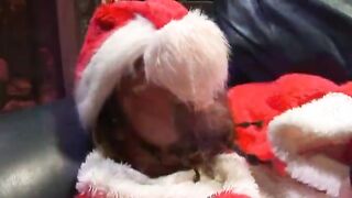 Chesty Brunette Girl Fucked In The Mouth And Vag