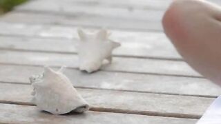 tokyo angel teasing by the ocean