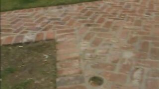 Latin Babes Service One Another