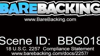 Hard and wild barebacking sex