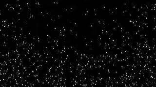 Raunchy Blonde Body-Builder Gal Sucks & Nails Erect Schlong