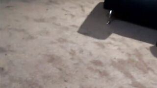 Gorgeous girl fucks hard member
