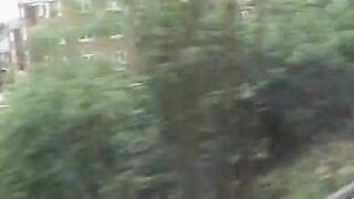 Gay Bear Makeout Outdoor