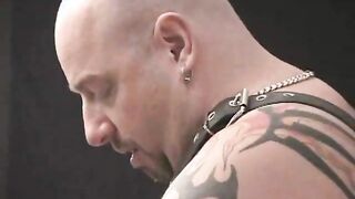 Hot Gay Bear Foursome Sex