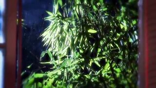 Hot babe has fun with pole