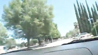 Big Breasts Ebony Blowjob And Sex