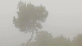 True babe Silvie fingering snatch