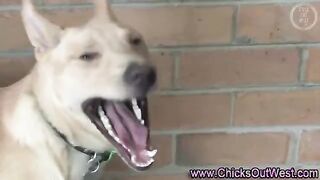 Watch amateur real gf gets herself off