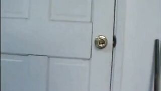 Hung cub bangs a cougar in the garage