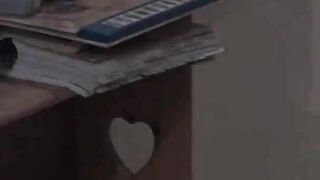 Fiery blonde chick does 2 eager cocks