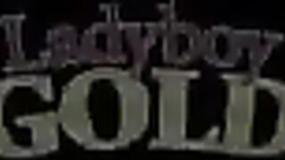 See through seduction bareback