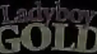 Aroused chick with dick enjoys stiffy sucking