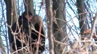 Peeping tom catches a horny guy fucking her gorgeous gf in the woods