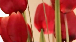 Twink Sucking Cock And Ass Fucked