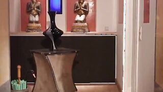 Cute hot bodied brunette sucks