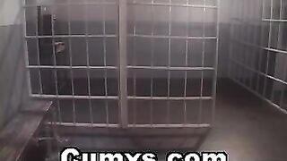 Busty Ebony Lesbians Anal Dildo