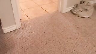 White Big Guy Fucking Young Afro Black