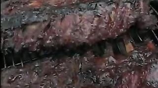 Ghetto Afro Black Slut Fucked In Hairy Cunt