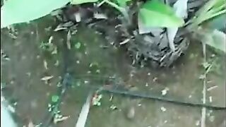 Busty Ghetto Booty Sucking And Facial