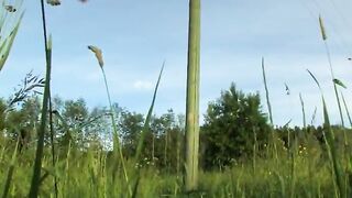 Beatas grass activities with huge toy