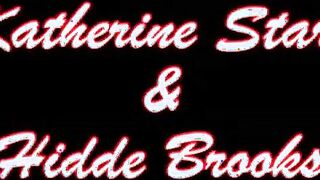 Blonde lesbians pleasing their pussies