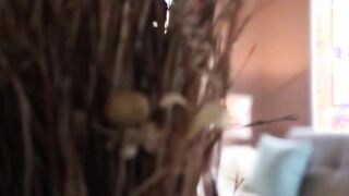 breasty brunette fingering her pussy